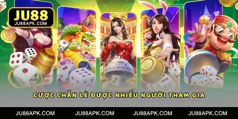Các cửa và phần lịch sử — minh họa